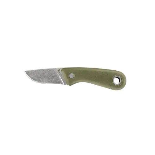 Gerber Vertebrae Fast blad Grön